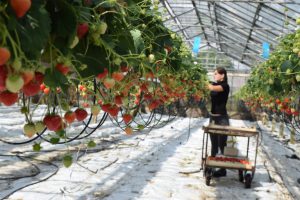 робота для жінок